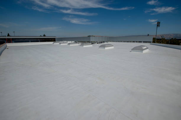 Best Roof Leak Repair  in Rpinteria, CA